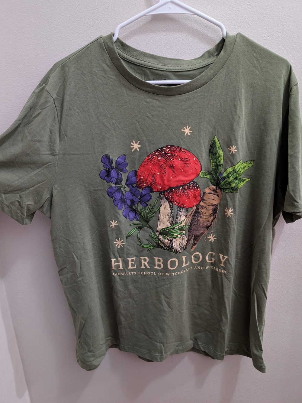 Harry Potter Herbology Graphic Tee in Green & Red Large